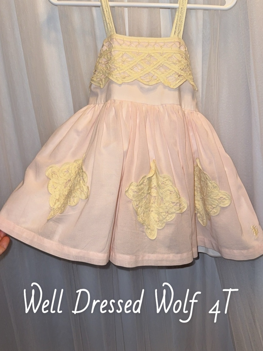 Well Dressed Wolf Pale Pink Dress with cream Lace Accents girls 4T